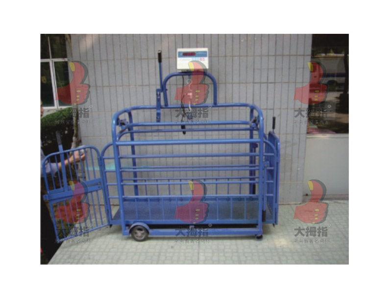 ��Ĵָ�N�i�y(c��)����